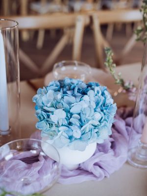 melanielaskephoto_styledshoot_springpastellove_300425_socialmedia-4866